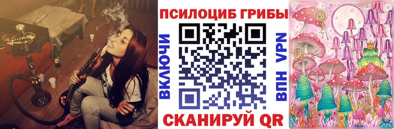Галлюциногенные грибы Psilocybine cubensis  Купить закладки  Катайск 